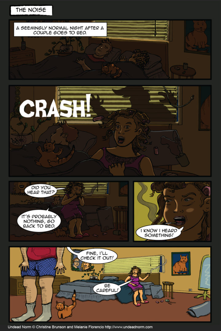 Ch2 Pg23 The Noise